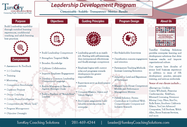 Enhancing Leadership Potential: Comprehensive Guide to Leadership Development and Coaching Programs